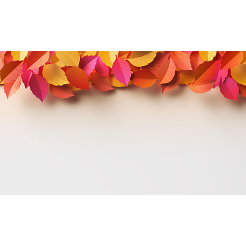 autumn leaves arrangement with copy space 1 وکتور-برگ-سبز-بزرگ-گرمسیری-هیولا-گیاه-ایزوله-زمینه-سفید