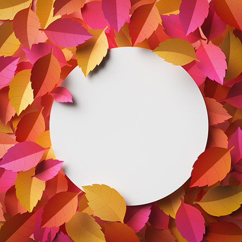 autumn leaves arrangement with copy space 2 آبرنگ-صورتی-گل-اکلیل-با-دایره-طلایی