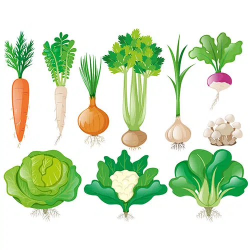 different types vegetables 1 جوایز-تصاویر-واقعی-قفسه-ترکیب-فنجان-طلایی-با-پایه-سیاه-قفسه-شیشه ای