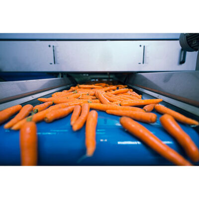 تصویر تسمه نقاله شستشوی هویج و سبزیجات در کارخانه فرآوری مواد غذایی