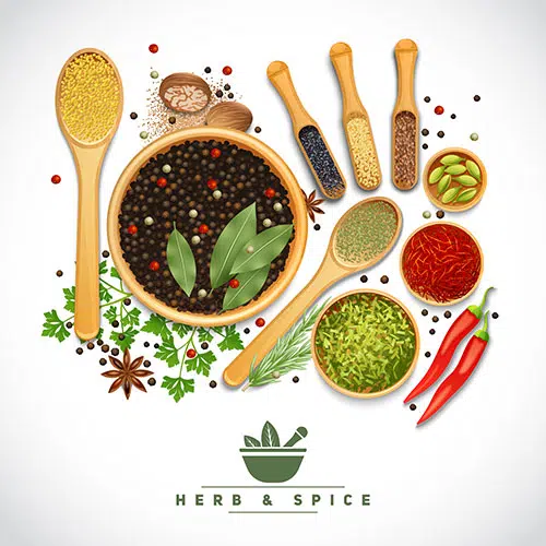 herb spice poster 1 قالب
