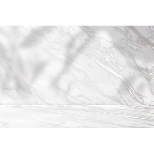 marble product backdrop with plant shadow 1
