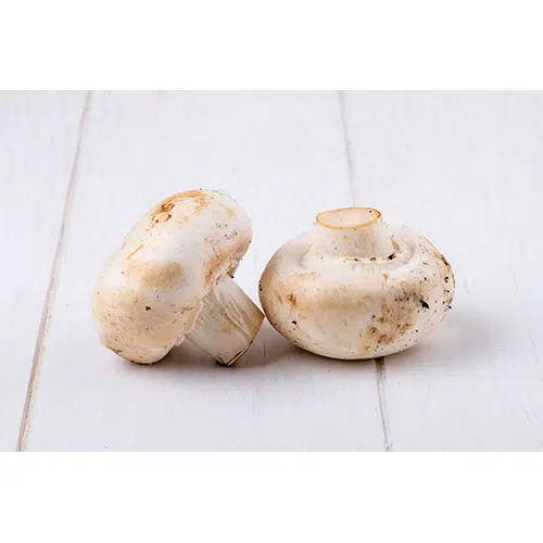 side view fresh mushrooms champignon isolated white background 1 مجموعه آرم-نان-نان-خاکستری-ایزوله-وینتیج-با-بهترین-کیفیت-کارتر-نان-تازه-بهترین-توضیحات نانوایی