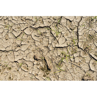 تصویر زمین خشک و بایر