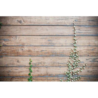 تصویر با کیفیت بافت و تکسچر چوب و گیاه پیچ