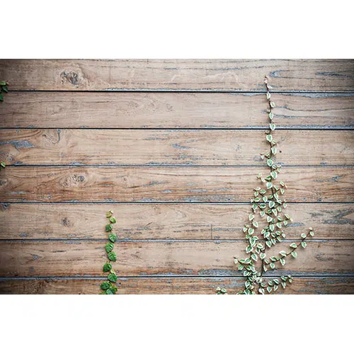 texture background 1 تصویر