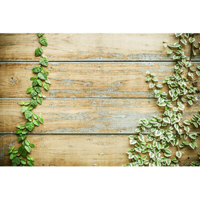 تصویر با کیفیت بافت و تکسچر چوب و گیاه پیچ 2