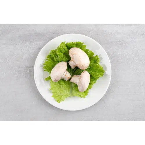 بشقاب سفید و قارچ تازه 1 white plate fresh white mushrooms stone table 1 بشقاب