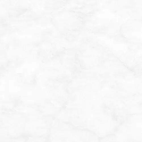 white simple textured design background 1 وکتور-برگ-سبز-بزرگ-گرمسیری-هیولا-گیاه-ایزوله-زمینه-سفید