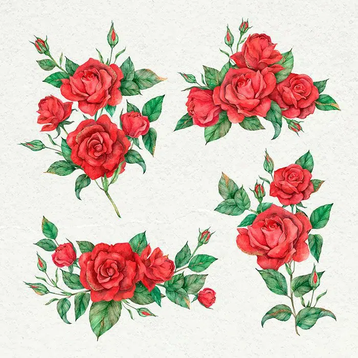blooming red rose flower set 1 طرح-شیک-قاب-شکل-با-آیکون-گل-شاخه-رازک-شکوفه-ملت-در اطراف-کلمات-مرکز مواد تشکیل دهنده آبجو