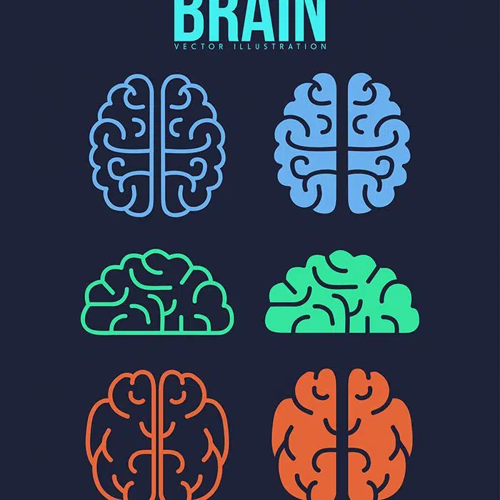 brain icons collection colored flat shapes 1 1 وکتور آشپز