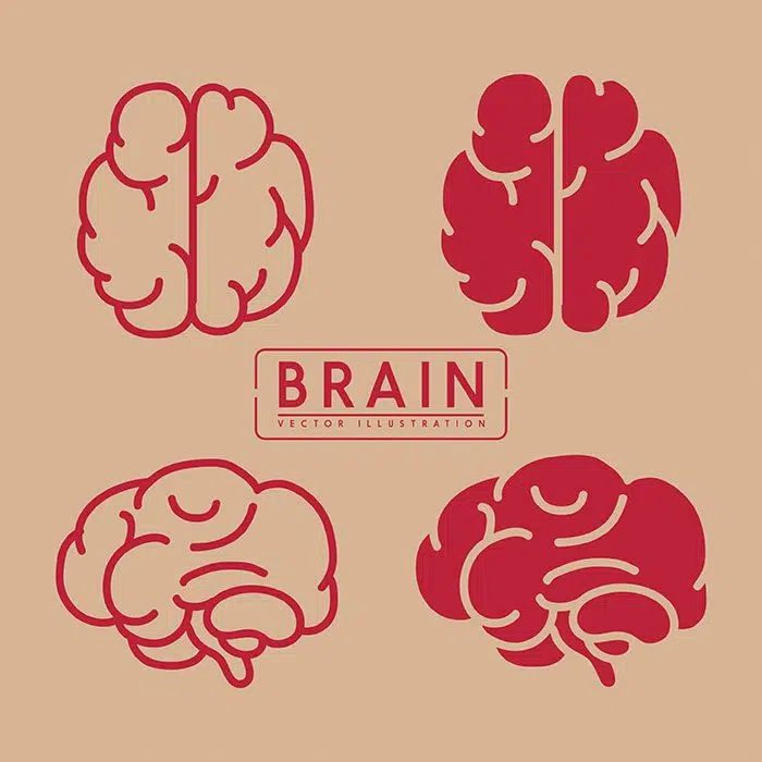 brain icons collection red flat design 1 1 وکتور آشپز