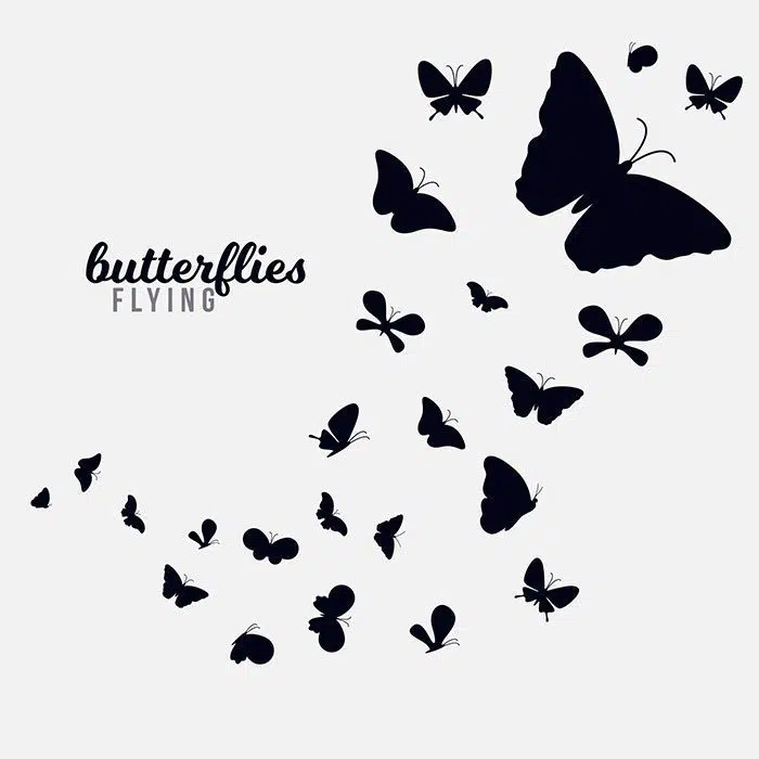 ست پروانه های سیاه 1 butterfly swarm silhouette background 1 پروانه - ازدحام - شبح - پس زمینه