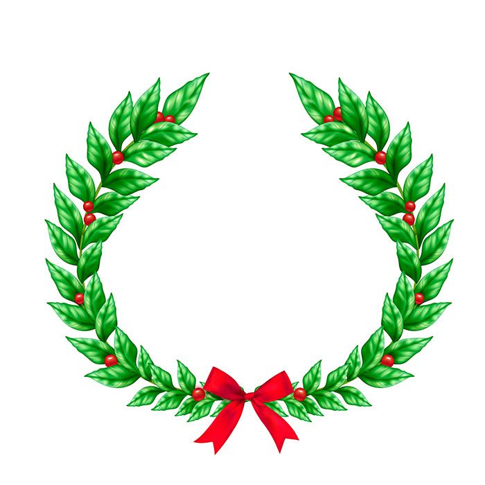 christmas green wreath decorated with red ribbon bow berries realistic sign 1 تاج گل-کریسمس-سبز-تزیین شده-با-روبان-قرمز-کمان-توت-نشان-واقعی