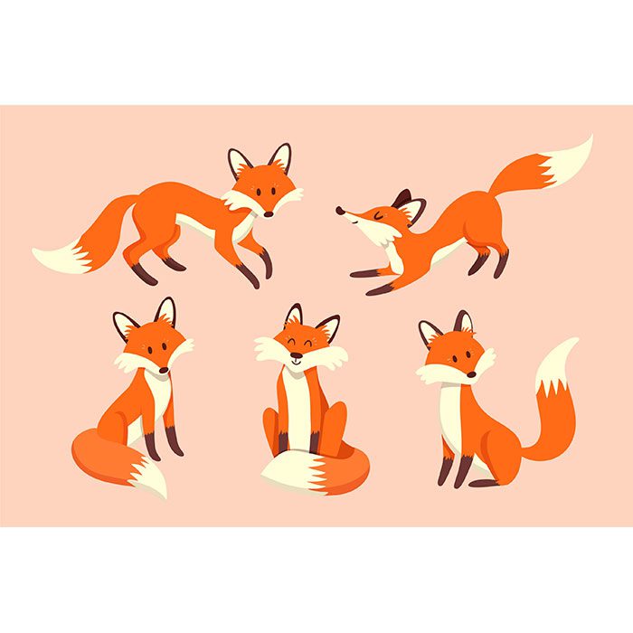 collection cute drawn foxes 1