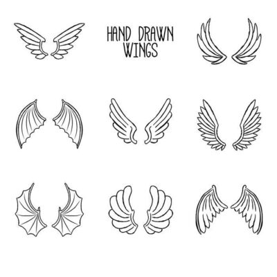 مجموعه بال های باز