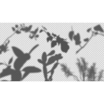 طرح لایه باز و بدون زمینه سایه گیاهان و شاخ و برگ