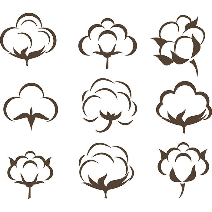 cotton flowers icons collection various flat sketch 1 1 مجموعه-آبرنگ-گل آرایی-با-رز-مشکی-طلایی