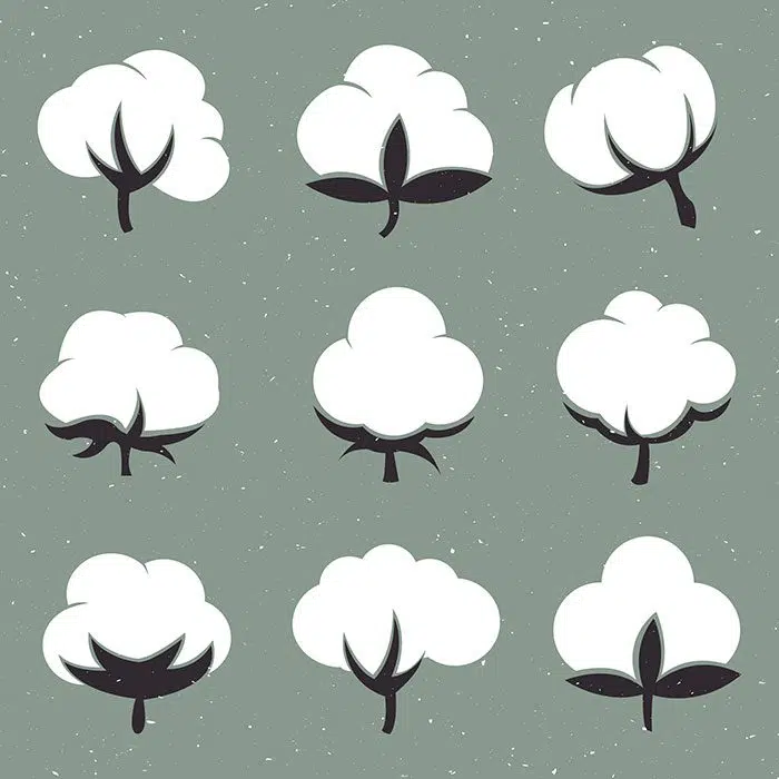 cotton flowers isolation flat black white design 6831534 1 مجموعه-آبرنگ-گل آرایی-با-رز-مشکی-طلایی