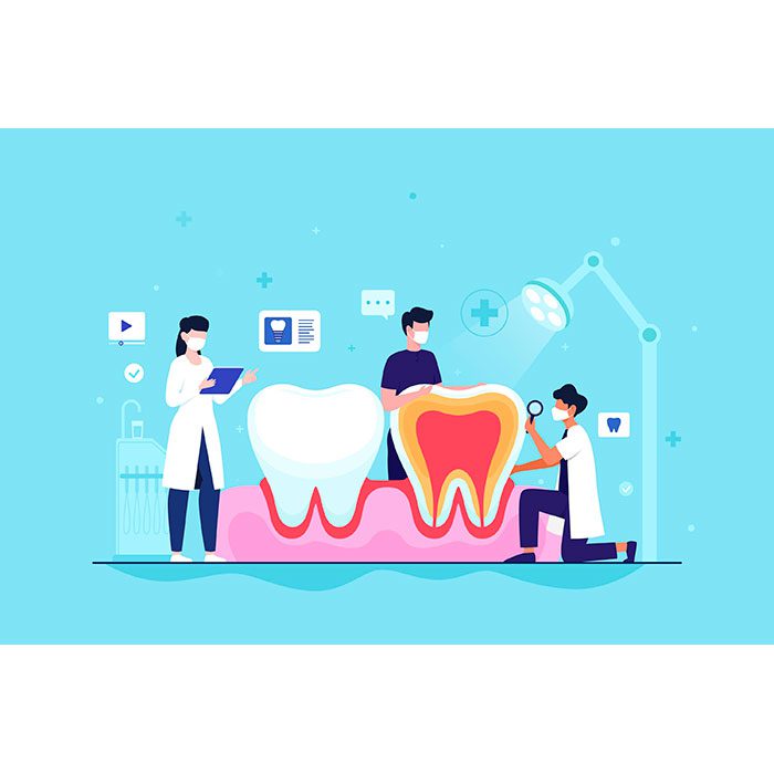 flat dental care concept with teeth 1 وکتور - ایمپلنت - سینه - زن