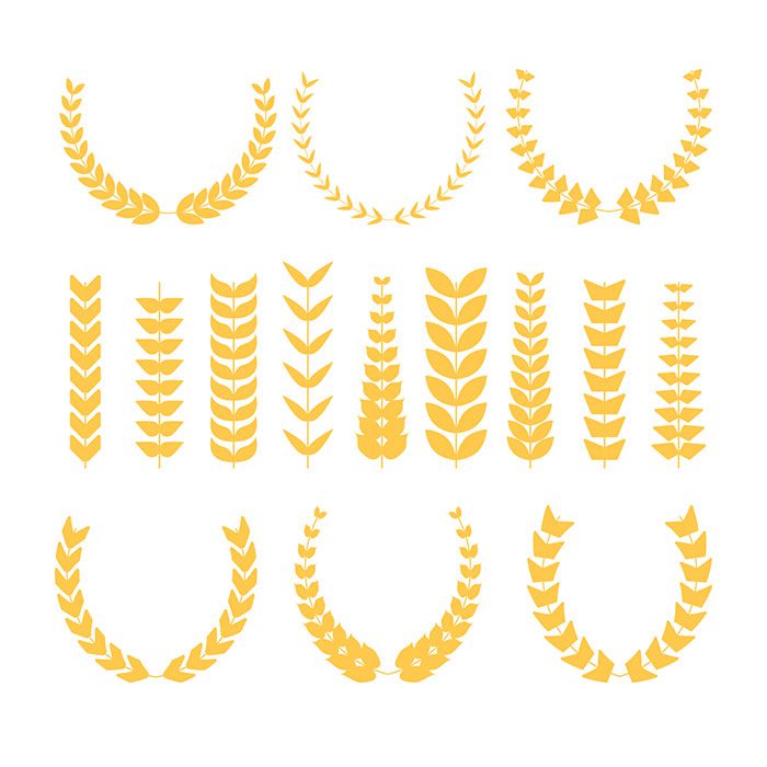 flat wheat collection 30 1 نمادهای گندم - طلایی - مسطح - کلاسیک - شکلهای متقارن -