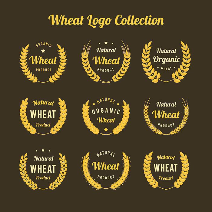 flat wheat logo collection 1 نمادهای گندم - طلایی - مسطح - کلاسیک - شکلهای متقارن -