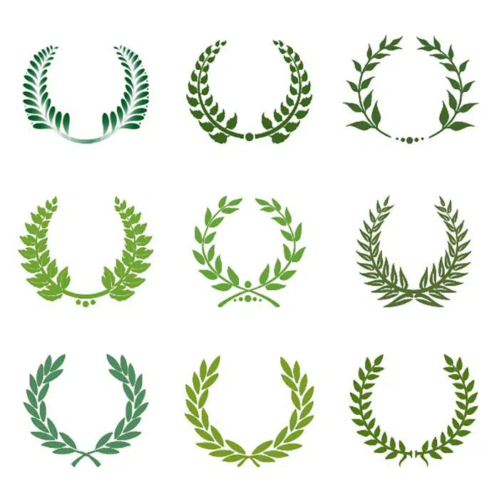 green laurel wreath set 1 1 ست-اکلیل-لورل سبز-