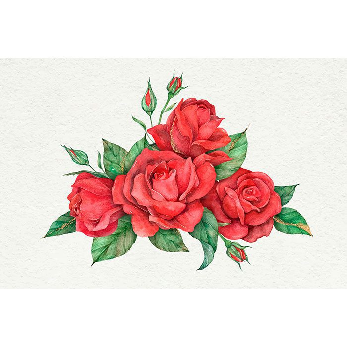 hand drawn vector red rose flower 1 مجموعه-آبرنگ-گل آرایی-با-رز-مشکی-طلایی
