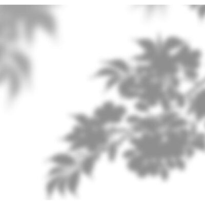 تصویر بدون زمینه سایه درختان با فرمت PNG بصورت ترنسپرنت