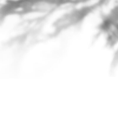 عکس سایه درخت بصورت بدون زمینه پی ان جی بصورت png transparent