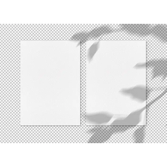 تصویر پی ان جی ایزوله سایه درخت و دو کادر کاغذی سفید بصورت png 1 isolated two paper sheets with shadows 1 ایزوله-دو-ورق-کاغذ-با-سایه