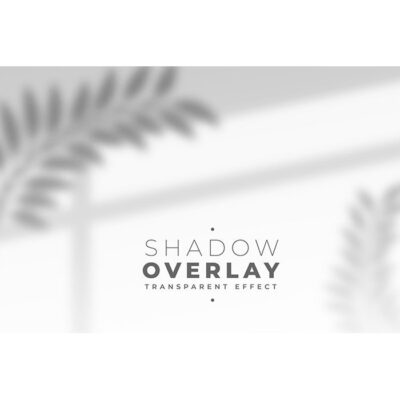 تصویر ترنسپرنت برگ و پنجره بصورت png