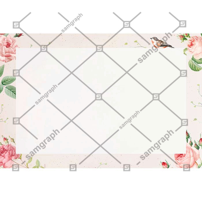 pink rose pattern white background vector 1 آبرنگ-صورتی-گل-قاب-پس زمینه