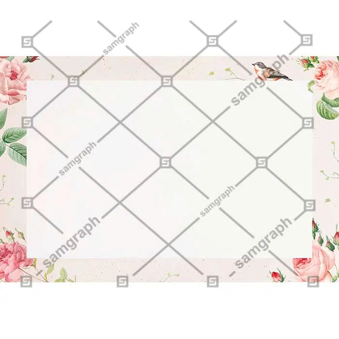 pink rose pattern white background vector 1 مجموعه-آبرنگ-گل آرایی-با-رز-مشکی-طلایی