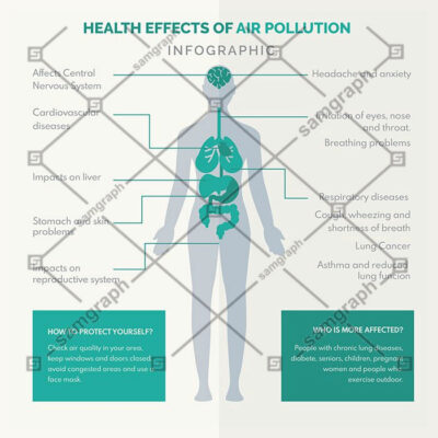 اینفوگرافی بدن انسان و اعضای داخلی پزشکی عمومی