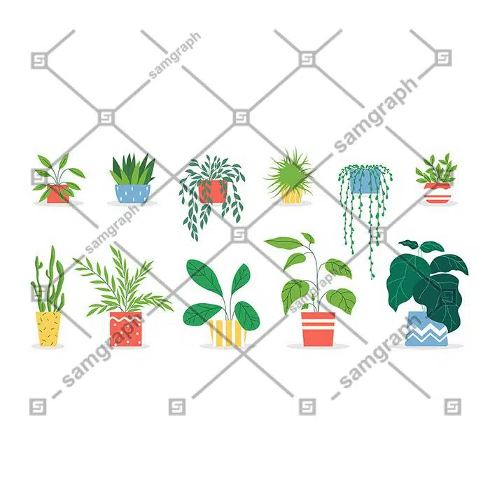 طرح وکتور و تصویر ست از گلدان و گیاهان 1 potted plants set 1 گلدان-گیاهان-ست