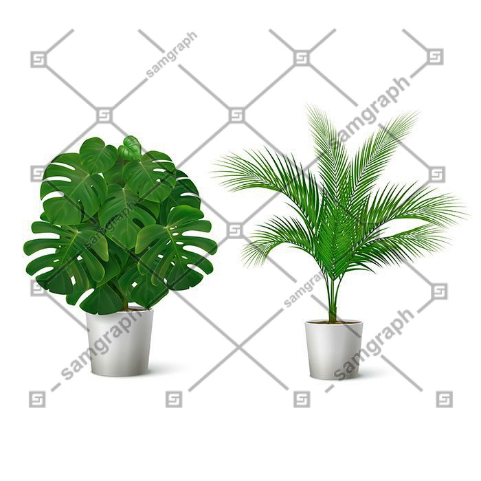 realistic composition with potted tropical plants illustration 1 مجموعه-آبرنگ-گل آرایی-با-رز-مشکی-طلایی