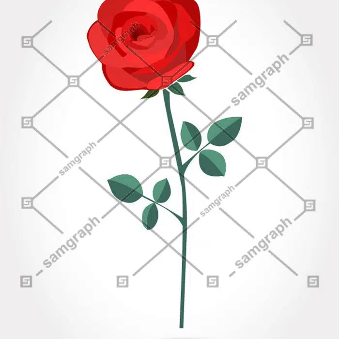 red artistic rose 1 مجموعه-آبرنگ-گل آرایی-با-رز-مشکی-طلایی