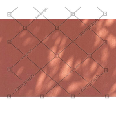 سایه برگ با زمینه دیوار نارنجی بصورت شفاف و ترنسپرنت