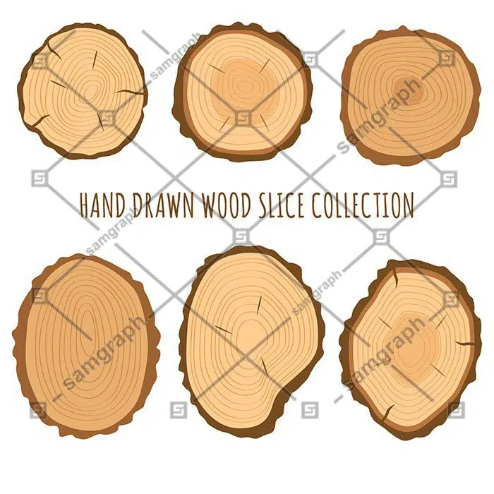 ست 6 تایی برش از قامه چوب با رگه های درخت 1 six wood slices 1 شش تکه چوب