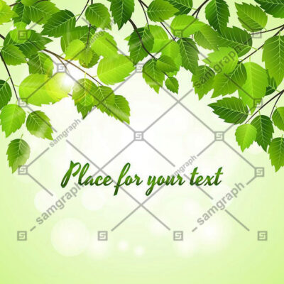 پس زمینه وکتور برگ سبز و نور خورشید با فضای خالی نوشتن