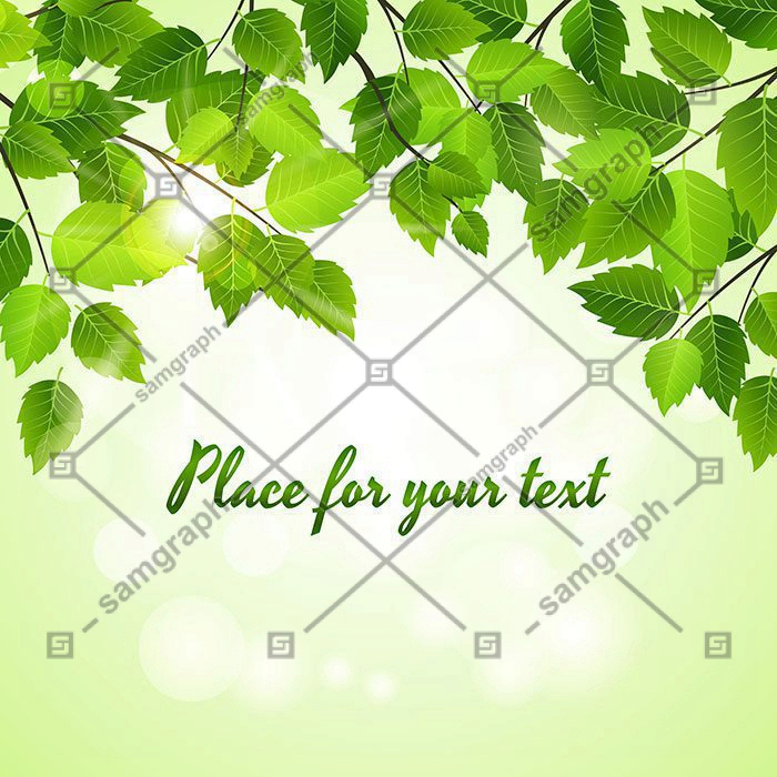 spring background with vector green leaves arranged 1