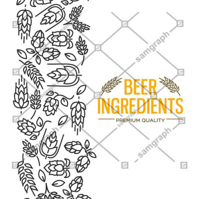 طرح وکتور و پس زمینه خوشه های گندم گل شاخه رازک شکوفه