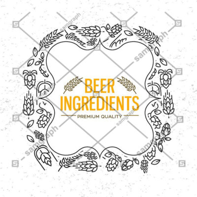 طرح وکتور و کادر با گل های گندم و شکوفه رازک مواد تشکیل دهنده آبجو