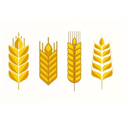 مجوعه خوشه گندم طلایی