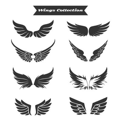 wings icons collection flat black white design 1
