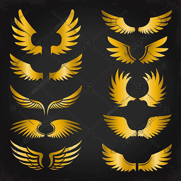 wings icons collection shiny yellow various shapes 1 تاج گل-وکتور-طلا-گل-گل-سبک-ست