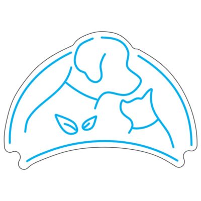 طرح نئون تاکو