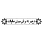 وکتور بر چهره دلربای مهدی صلوات مدل ۳