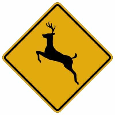 وکتور هشدار عبور حیوانات وحشی (گوزن)